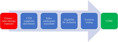 Cardio-Oncology Rehabilitation and Telehealth: Rationale for Future Integration in Supportive Care of Cancer Survivors